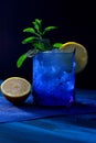 Mojito with lemon and good herb, refreshing drink Royalty Free Stock Photo