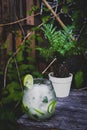 Mojito Lemon nonalcohol Royalty Free Stock Photo