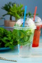 Mojito and Lemonade summer cold drink in a plastic glass with a straw. Coctail with mint, lemon, lime and ice. Serve at the bar.