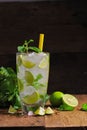 Mojito , lime pieces , leaves of mint with ice Royalty Free Stock Photo