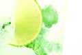 Mojito , lime pieces , leaves of mint with ice and rum Royalty Free Stock Photo