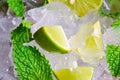 Mojito , lime pieces , leaves of mint with ice and rum Royalty Free Stock Photo