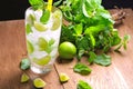 Mojito , lime pieces , leaves of mint with ice and rum Royalty Free Stock Photo