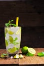 Mojito , lime pieces , leaves of mint with ice Royalty Free Stock Photo
