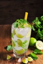 Mojito , lime pieces , leaves of mint with ice Royalty Free Stock Photo