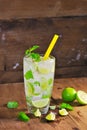 Mojito , lime pieces , leaves of mint with ice Royalty Free Stock Photo