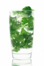 Mojito long drink Royalty Free Stock Photo
