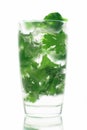 Mojito long drink