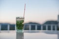 Mojito Royalty Free Stock Photo