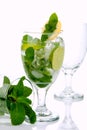 Mojito summer cocktail