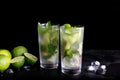 Mojito summer vacation refreshing tropical cocktail alcohol drink in highball glass, soda water beverage, lime juice Royalty Free Stock Photo