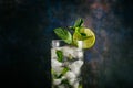 Mojito. Top of the glass, decoration of the cocktail