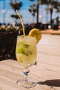 Mojito, traditional Cuban cocktail