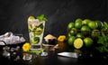 Mojito - Traditional Lemon and Mint Rum Drink