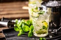 Mojito or virgin mojito long rum drink with fresh mint, lime juice, cane sugar and soda Royalty Free Stock Photo