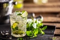 Mojito or virgin mojito long rum drink with fresh mint, lime juice, cane sugar and soda Royalty Free Stock Photo