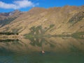 Moke Lake Swimmer