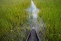 Mokoro Canoe Trip in the Okavango Delta near Maun, Botswana