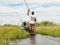 Local man working on Mokoro to deliver tourists and campers across the rivers of the Delta Okawango, Botswana Royalty Free Stock Photo