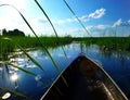 Mokoro canoe trip