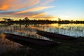 Mokoro in the Okavango delta at sunset, Botswana Royalty Free Stock Photo