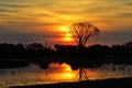 Mokoro in the Okavango delta at sunset, Botswana Royalty Free Stock Photo