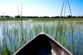 Mokoro Ride Through the Delta