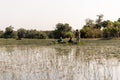 Mokoro ride in the okawango delta in Botswana in africa