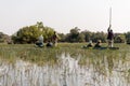 Mokoro ride in the okawango delta in Botswana in africa Royalty Free Stock Photo