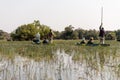 Mokoro ride in the okawango delta in Botswana in africa