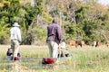 Mokoro ride in the okawango delta in Botswana in africa