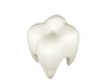 Molar