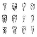 Molar teeth enamel, dental set. work of the dentist and care for children. oral cavity clean or dirty. health or caries