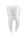 Molar tooth isolated on white background. Single object Royalty Free Stock Photo