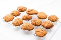 Molasse cookies Royalty Free Stock Photo