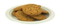 Molasses Cookies On Green Paper Plate