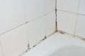 Mold in bathroom Royalty Free Stock Photo