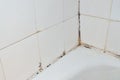 Mold in bathroom