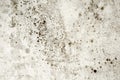 Mold is black on the ceiling. Dangerous for health - mold in the house. There are mold stains on the wall. black mold on Royalty Free Stock Photo