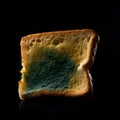 Mold on bread