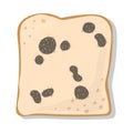 Mold on Bread Gray Royalty Free Stock Photo