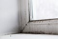 Mold in the corner of the window Royalty Free Stock Photo