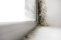 Mold in the corner of the window. Royalty Free Stock Photo