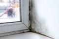 Mold in the corner of the window Royalty Free Stock Photo