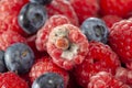 mold-covered ripe raspberries, close up Royalty Free Stock Photo