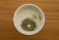 Mold cup yogurt growth east disgusting mould mildew green detail. Food product dairy product cream expired warranty