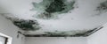 Mold Damage on Ceiling Caused by Water Leak in Residential Building Royalty Free Stock Photo