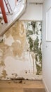 Mold Damaged Wall With Textured Surface in Decay Interior Background Royalty Free Stock Photo