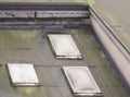 mold on flat roof Royalty Free Stock Photo