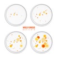 Mold Fungus Realistic Set Royalty Free Stock Photo